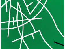 Abstract Geometric Painting: There Goes…